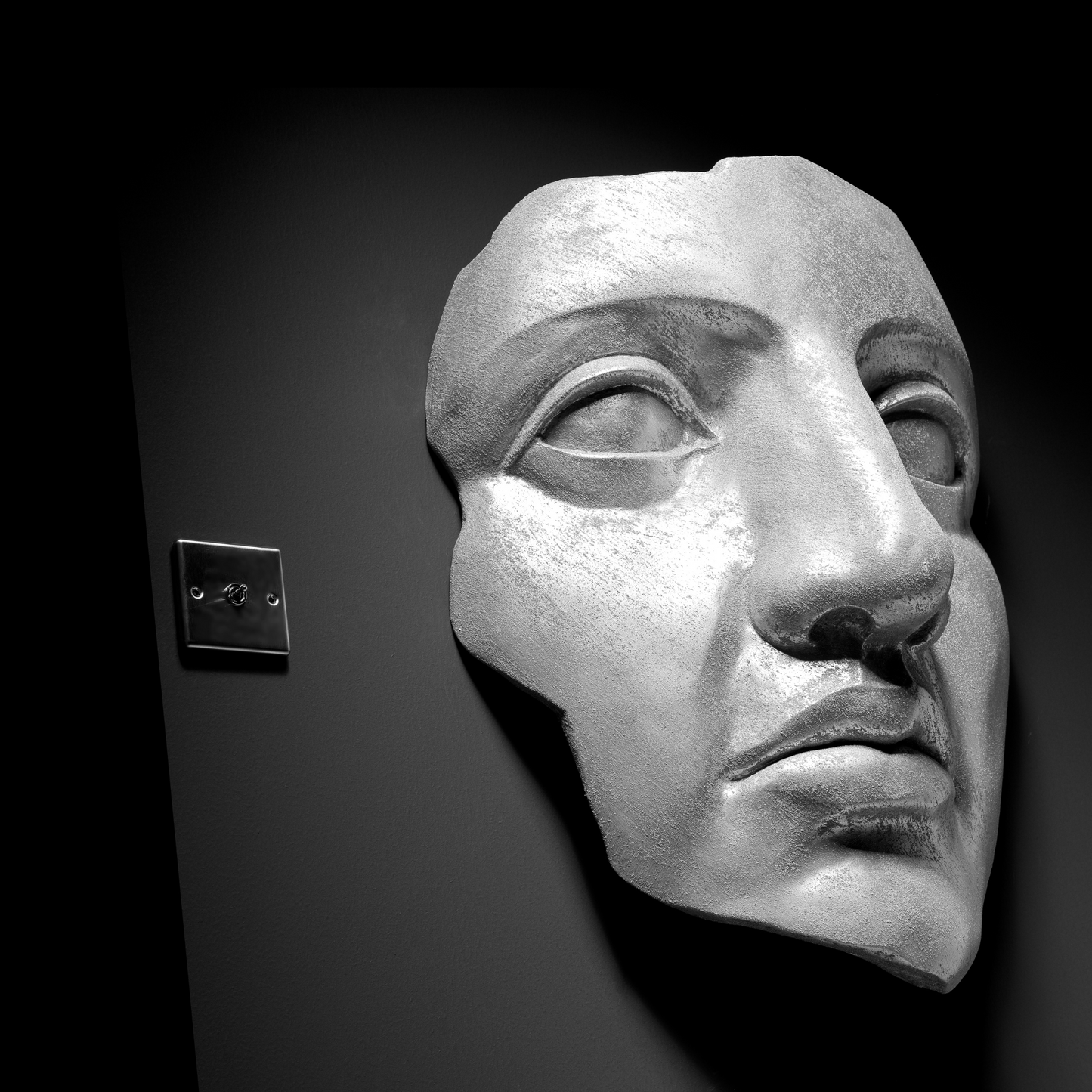 Silver Face - Wall Art