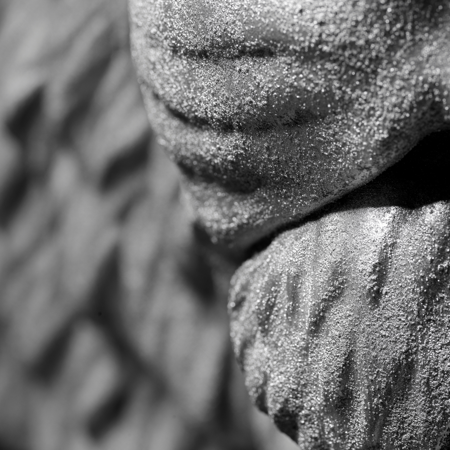 Silver Lion - Wall Art