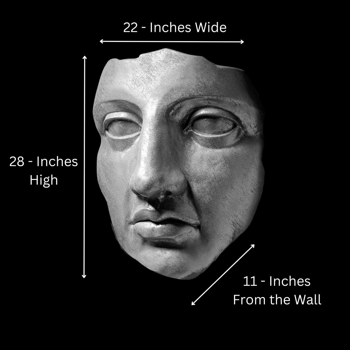 Silver Face - Wall Art