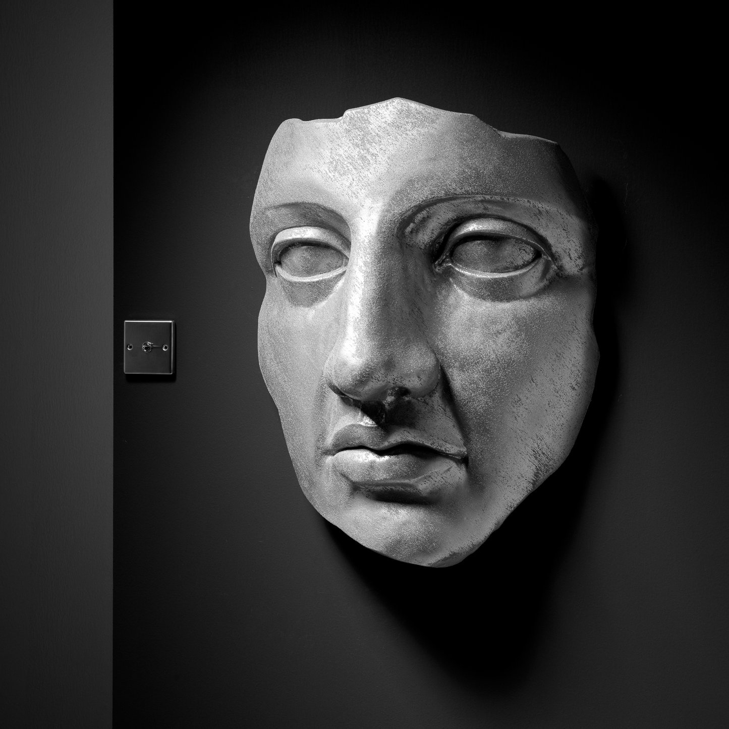 Silver Face - Wall Art