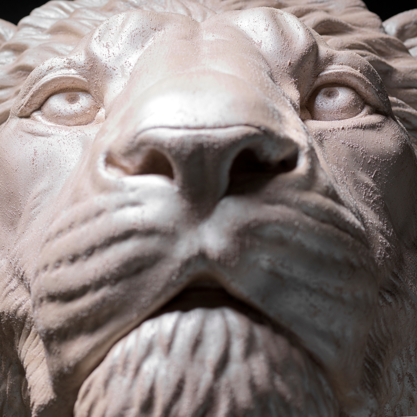 Pearl Lion Wall Art