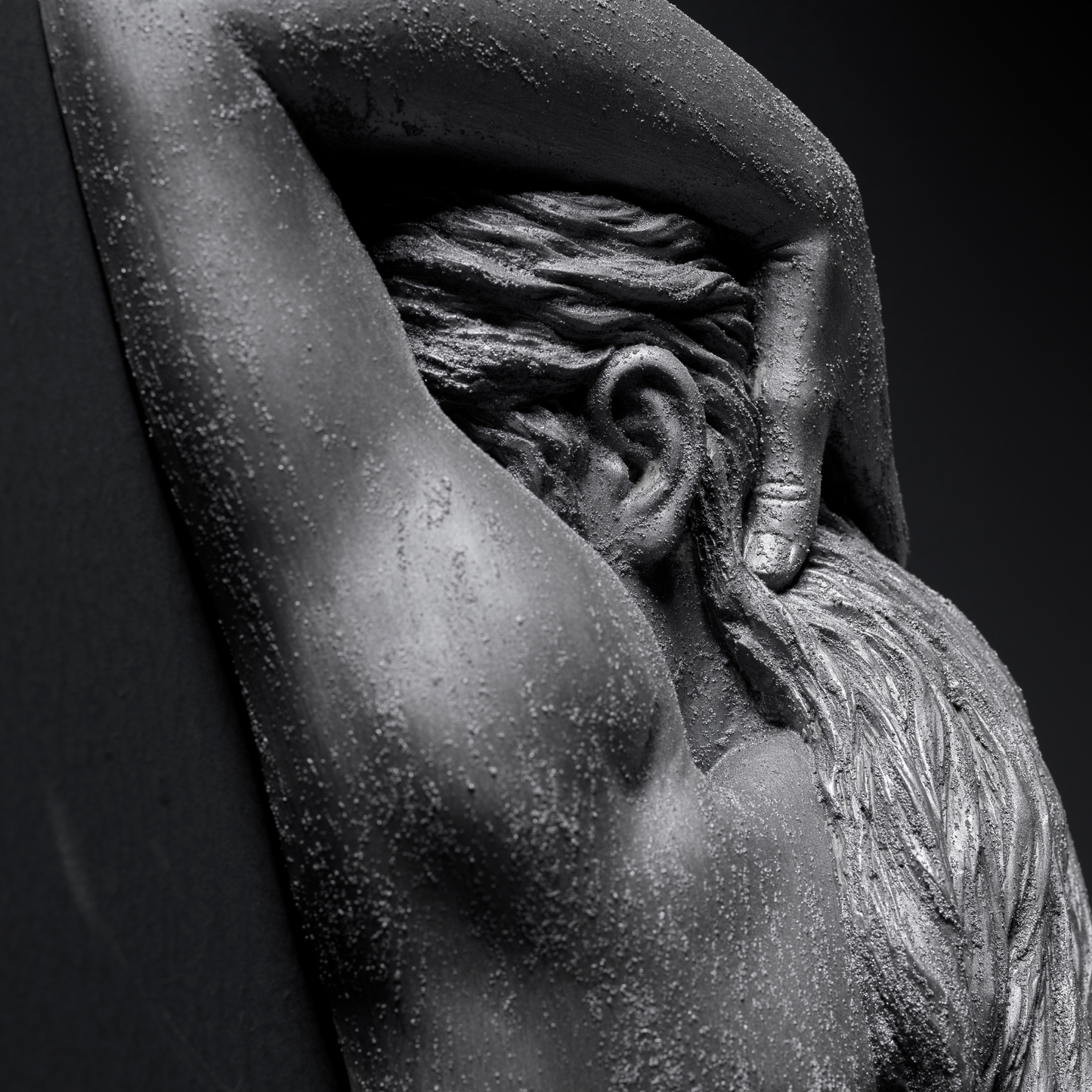 Platinum Lady Wall Art