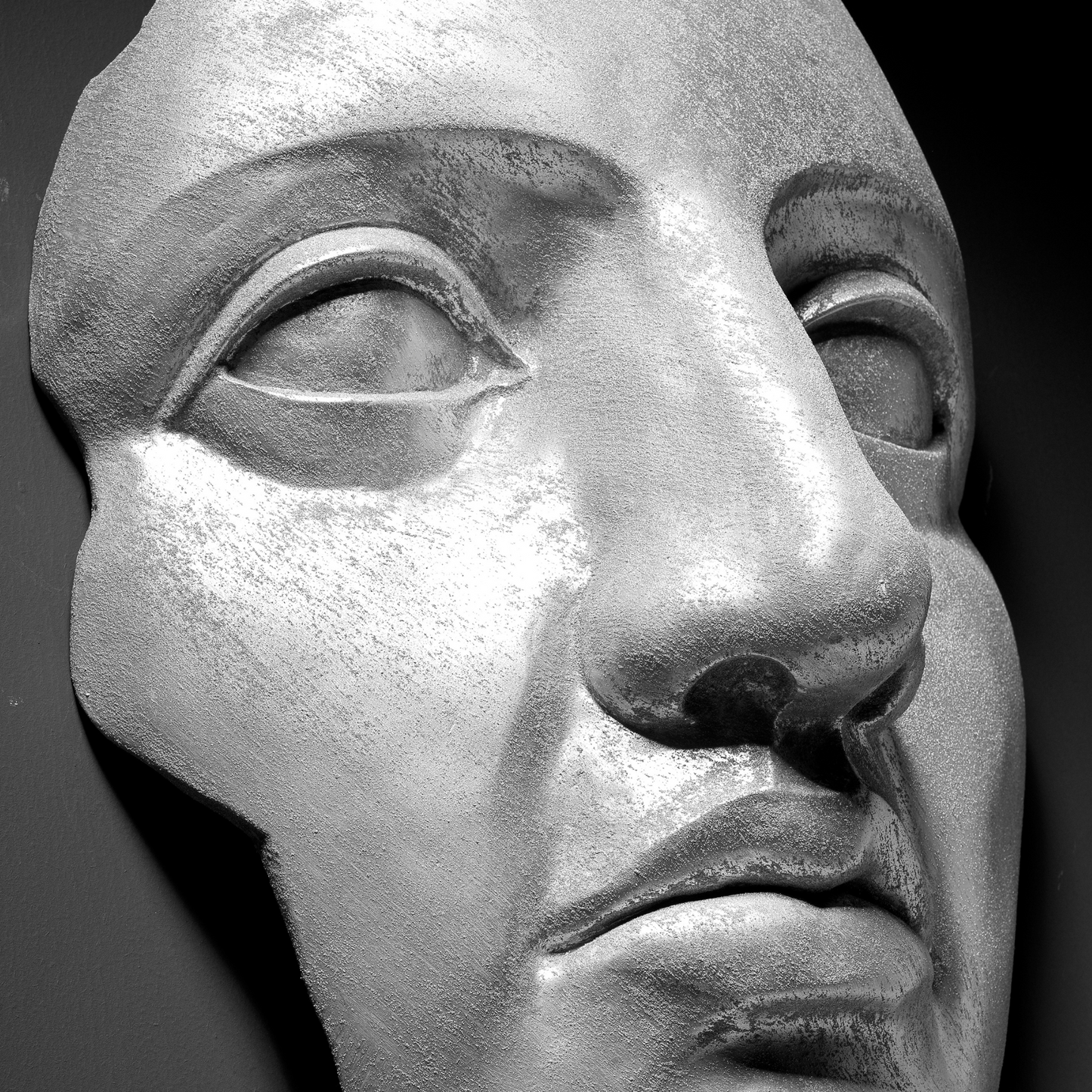 Silver Face - Wall Art