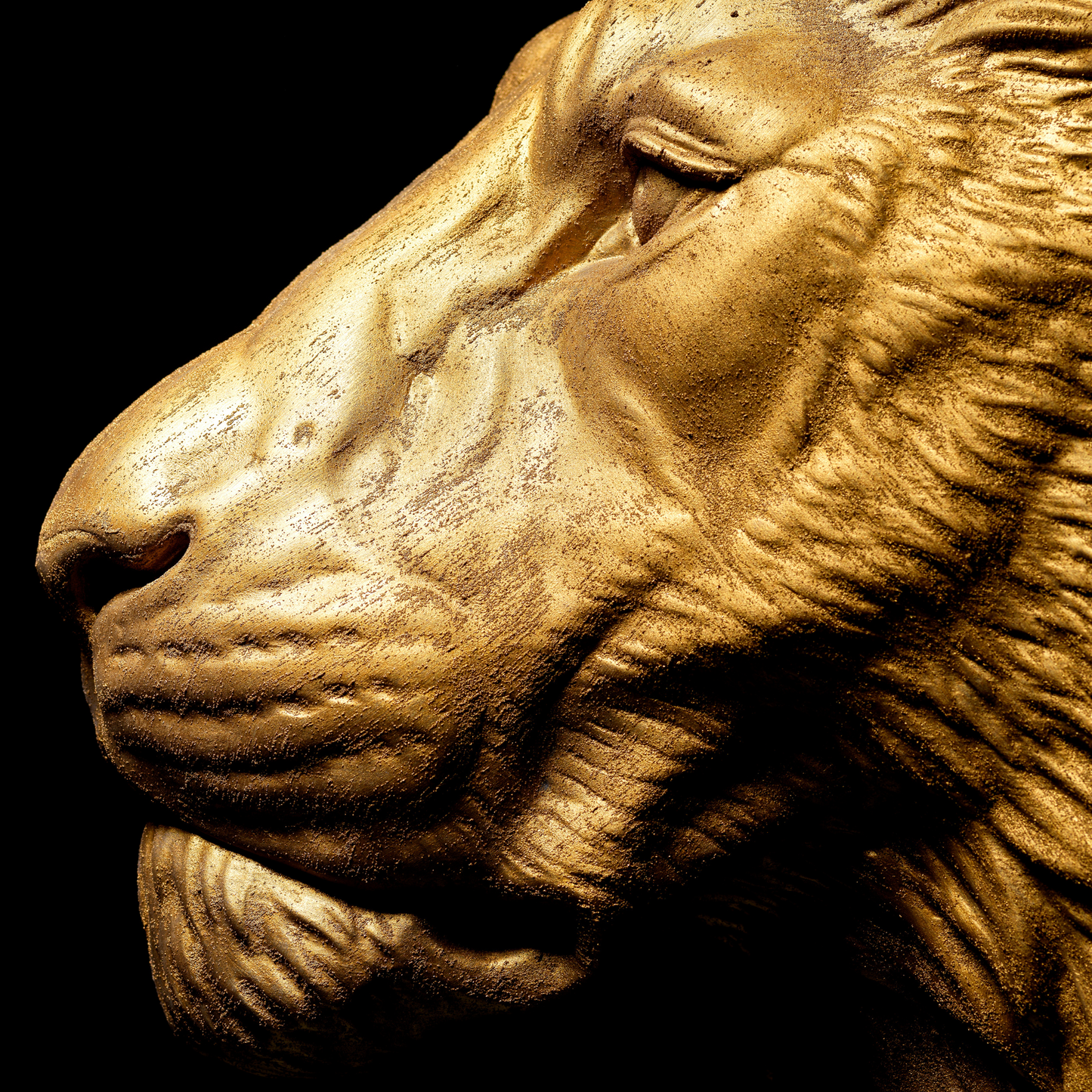 Large Lion Wall Art - Wall Mounted - Golden Lion Head