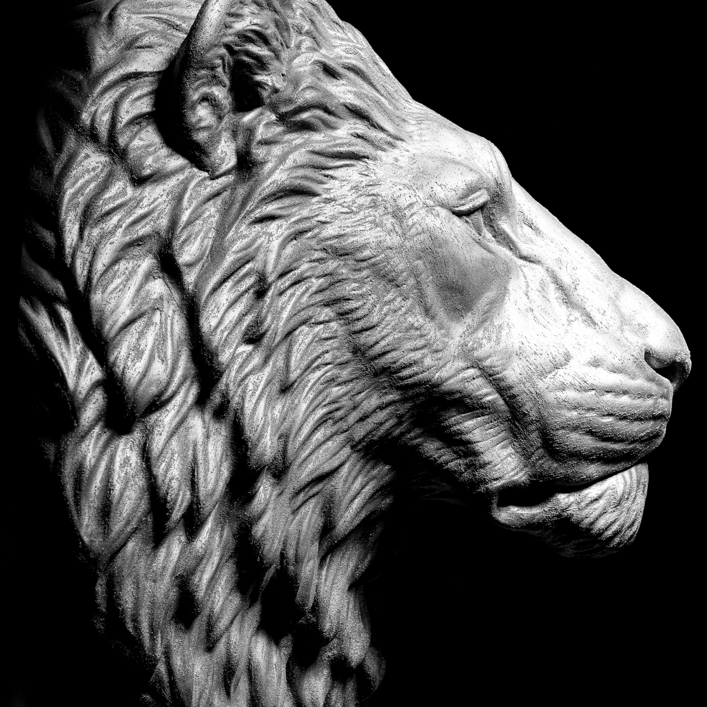 Silver Lion - Wall Art