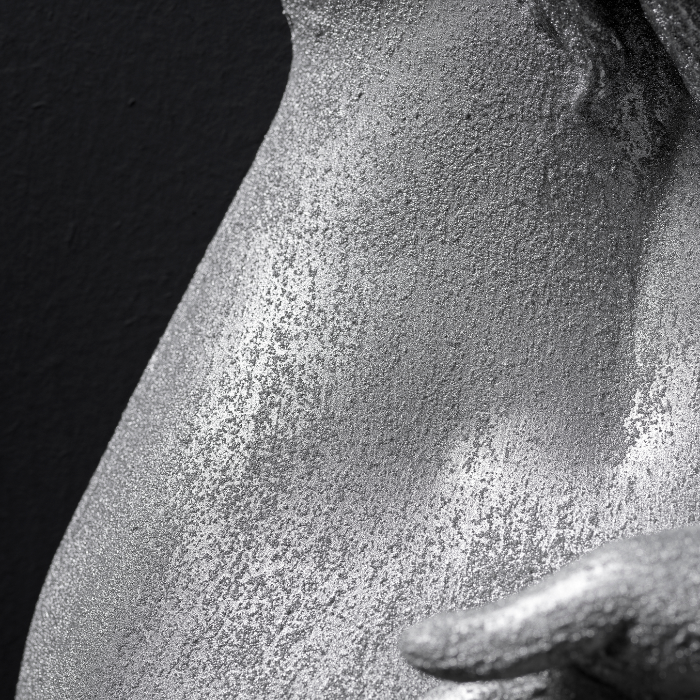 Silver Lady - Wall Art