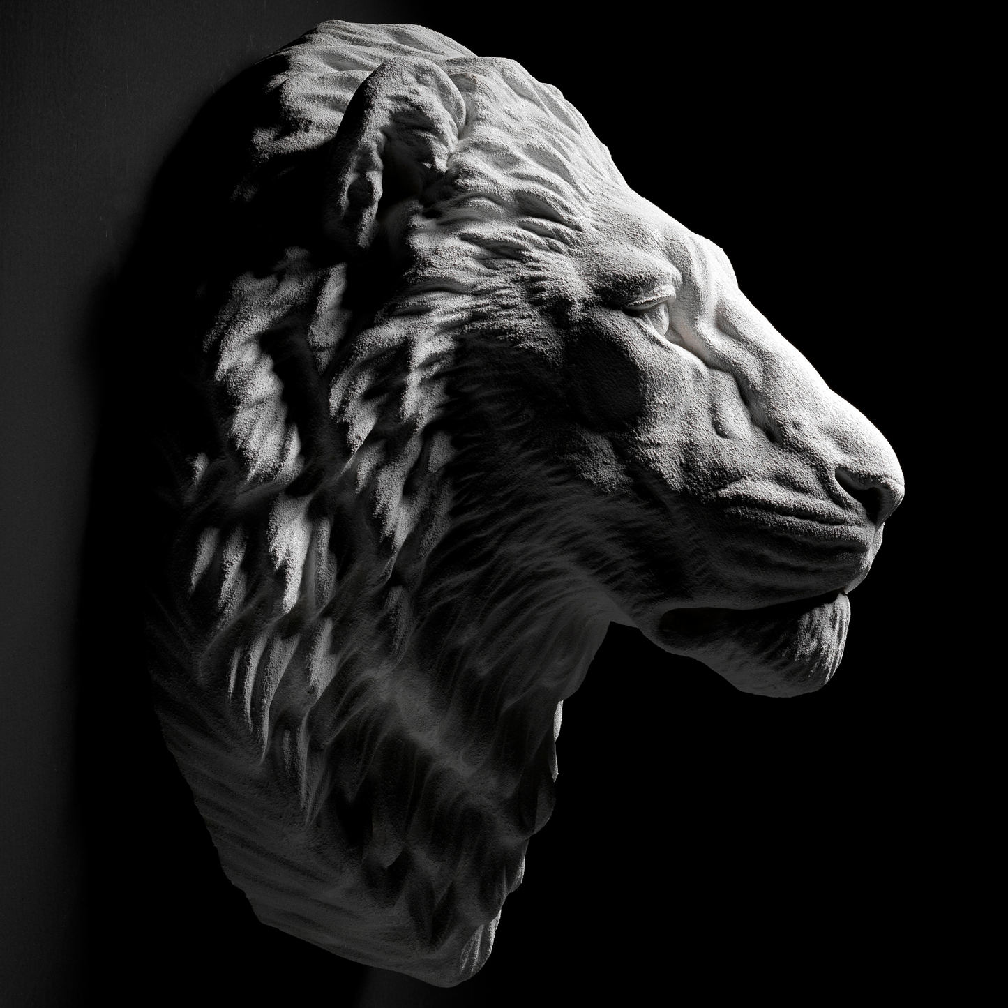 White Lion Wall Art