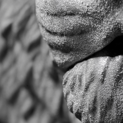 Silver Lion - Wall Art