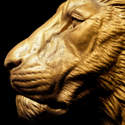 Large Lion Wall Art - Wall Mounted - Golden Lion Head