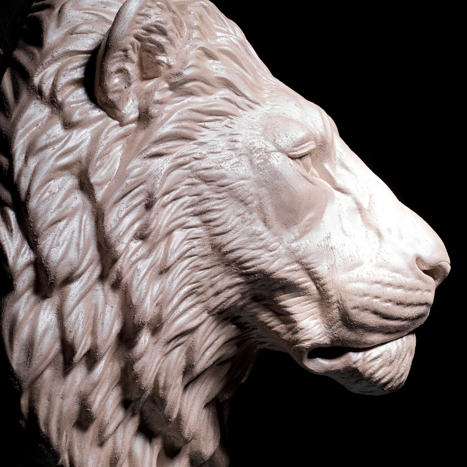 Pearl Lion Wall Art