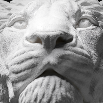 White Lion Wall Art