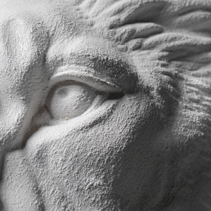 White Lion Wall Art