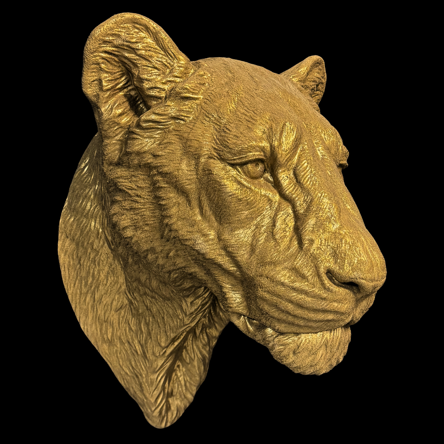 Large Lioness Wall Art - Wall Mounted - Golden Lioness Head